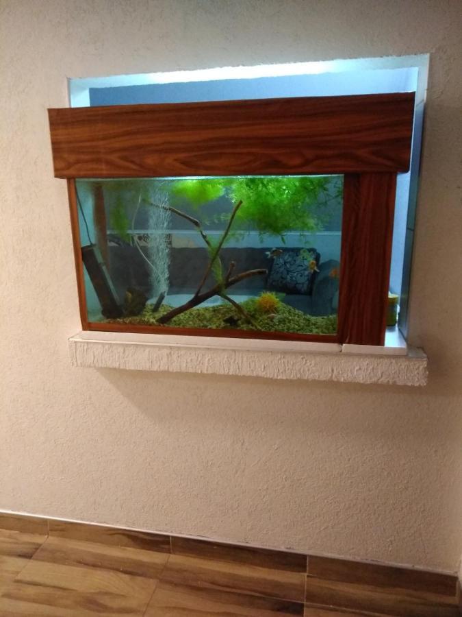 Apartment Sarajevo - Vraca מראה חיצוני תמונה